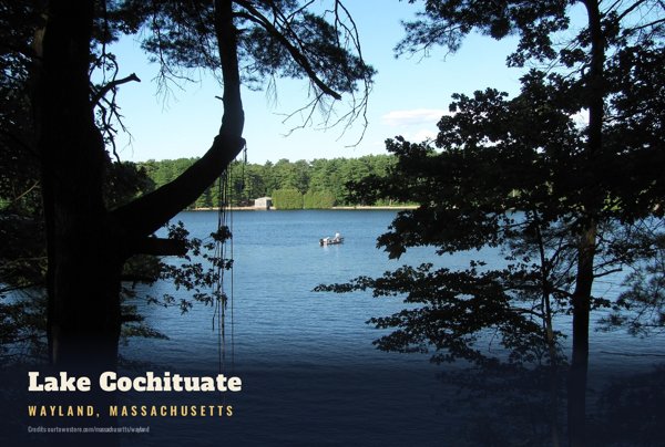 Wayland Lake Cochituate Postcard artwork detail
