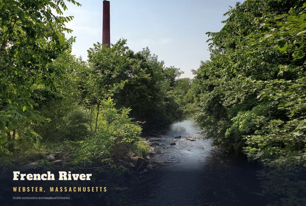 Webster French River Postcard artwork detail