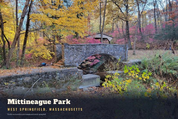 West Springfield Mittineague Park Postcard artwork detail