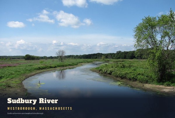 Westborough Sudbury River Postcard artwork detail