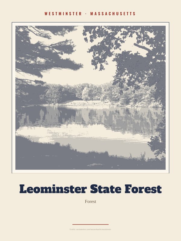 Westminster Leominster State Forest Landmark Print artwork detail