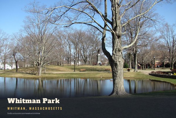 Whitman Whitman Park Postcard artwork detail