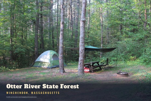 Winchendon Otter River State Forest Postcard artwork detail