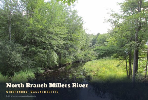 Winchendon North Branch Millers River Postcard artwork detail
