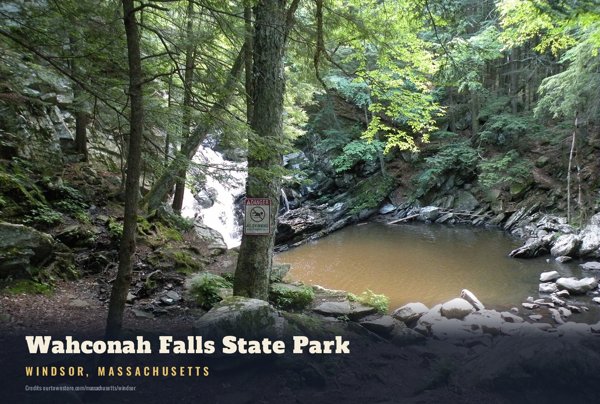 Windsor Wahconah Falls State Park Postcard artwork detail