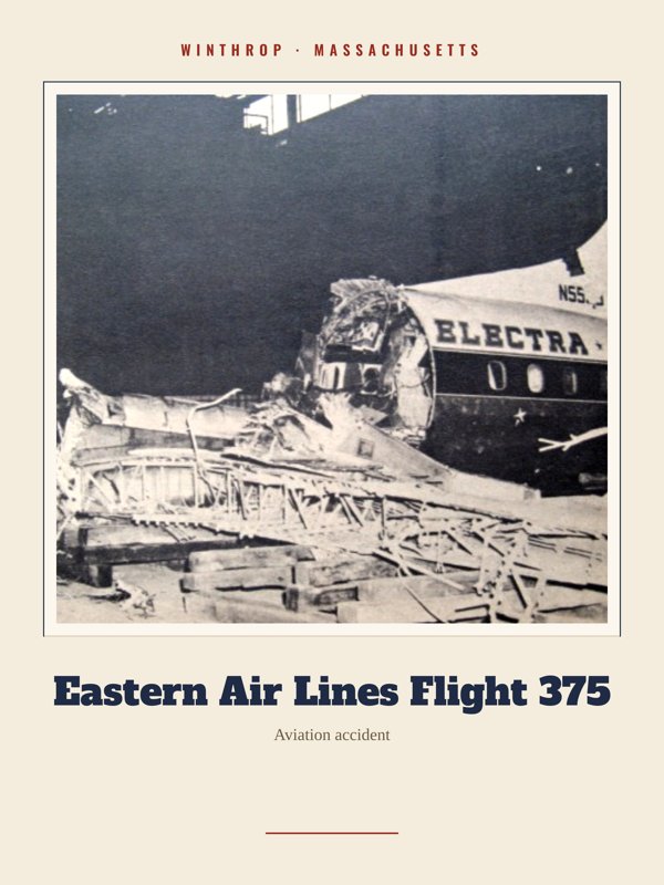 Winthrop Eastern Air Lines Flight 375 Landmark Print artwork detail